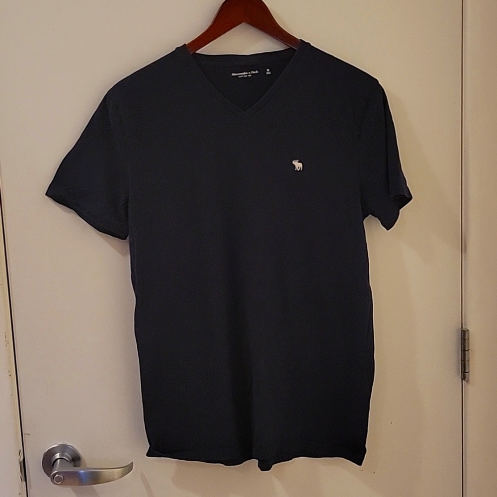 Abercrombie & Fitch V-Neck T-Shirt